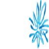 AMP Ltd